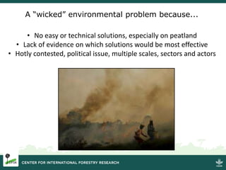 Burning issues: Global and local effects of indonesian haze