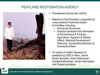 Burning issues: Global and local effects of indonesian haze