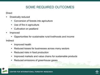 Burning issues: Global and local effects of indonesian haze
