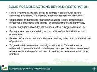 Burning issues: Global and local effects of indonesian haze