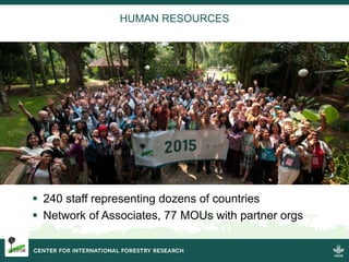 Burning issues: Global and local effects of indonesian haze