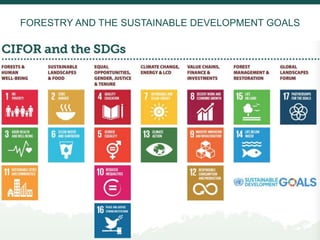 Burning issues: Global and local effects of indonesian haze