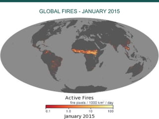 Burning issues: Global and local effects of indonesian haze