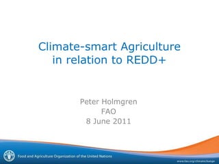 Climate-smart Agriculture in relation to REDD+ Peter Holmgren FAO 8 June 2011 