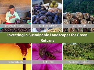 Climate change
Food and nutritionLivelihoods, income Green growth
Agriculture, resilienceBiodiversity
 
