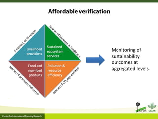 Monitoring of
sustainability
outcomes at
aggregated levels
 
