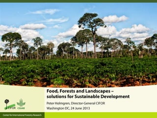 Presentation by Peter Holmgren, CIFOR-IFPRI Policy Seminar "Food, Forests, and Landscapes - Solutions for Sustainable Development