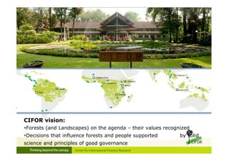 Investing in sustainable landscapes for green returns