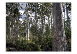 Investing in sustainable landscapes for green returns