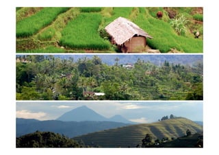 Investing in sustainable landscapes for green returns