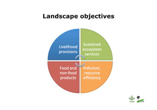 Investing in sustainable landscapes for green returns