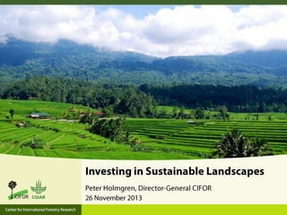 Investing in Sustainable Landscapes