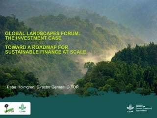 Peter Holmgren, Director General CIFOR
GLOBAL LANDSCAPES FORUM:
THE INVESTMENT CASE
TOWARD A ROADMAP FOR
SUSTAINABLE FINANCE AT SCALE
 