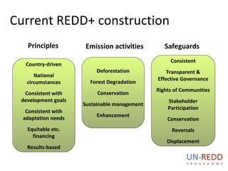 Current REDD+ construction Deforestation Forest Degradation Conservation Sustainable management Enhancement Consistent Transparent & Effective Governance Rights of Communities Stakeholder Participation Conservation Reversals Displacement Country-driven National circumstances Consistent with development goals Consistent with adaptation needs Equitable etc. financing Results-based Principles Emission activities Safeguards 