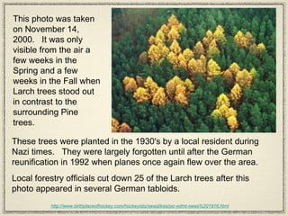 These trees were planted in the 1930's by a local resident during Nazi times.  They were largely forgotten until after the German reunification in 1992 when planes once again flew over the area. Local forestry officials cut down 25 of the Larch trees after this photo appeared in several German tabloids. http://www.birthplaceofhockey.com/hockeyists/swastikas/pic-edmt-swas%201916.html   This photo was taken on November 14, 2000.  It was only visible from the air a few weeks in the Spring and a few weeks in the Fall when Larch trees stood out in contrast to the surrounding Pine trees. 
