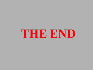 THE END 