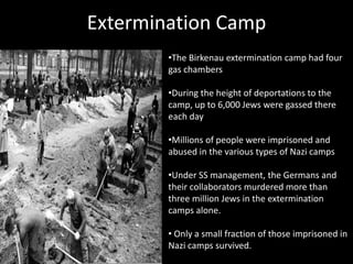 Holocaust | PPTX