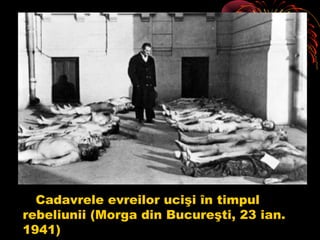 Cadavrele evreilor ucişi în timpul
rebeliunii (Morga din Bucureşti, 23 ian.
1941)

 