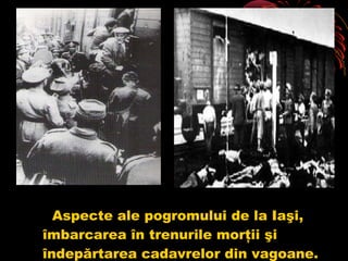 Aspecte ale pogromului de la Iaşi,
îmbarcarea în trenurile morţii şi
îndepărtarea cadavrelor din vagoane.

 