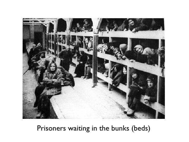 Holocaust Auschwitz Pp