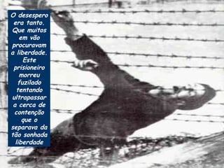 O desespero era tanto. Que muitos em vão procuravam a liberdade. Este prisioneiro morreu fuzilado tentando ultrapassar a cerca de contenção que o separava da tão sonhada liberdade 