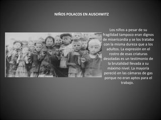      NIÑOS POLACOS EN AUSCHWITZ   Los niños a pesar de su fragilidad tampoco eran dignos de misericordia y se los trataba con la misma dureza que a los adultos. La expresión en el rostro de esas criaturas desoladas es un testimonio de la brutalidad llevada a su máximo nivel. La mayoría pereció en las cámaras de gas porque no eran aptos para el trabajo.   