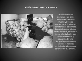    DEPÓSITO CON CABELLOS HUMANOS   Las víctimas de los alemanes eran útiles incluso después de la muerte ya que se aprovechaban los huesos para fertilizar los campos, los cabellos para fabricar fieltro industrial, los dientes de oro y hasta la piel para fabricar veladores y souvenirs. En esta fotografía pueden verse cabellos femeninos embolsados y listos para ser enviados a Alemania.  