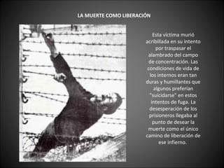      LA MUERTE COMO LIBERACIÓN   Esta víctima murió acribillada en su intento por traspasar el alambrado del campo de concentración. Las condiciones de vida de los internos eran tan duras y humillantes que algunos preferían "suicidarse" en estos intentos de fuga. La desesperación de los prisioneros llegaba al punto de desear la muerte como el único camino de liberación de ese infierno.    