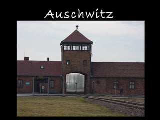 Auschwitz 