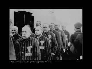 Os que eram considerados aptos eram postos a trabalhar... 