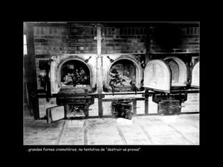 … grandes fornos crematórios, na tentativa de “destruir as provas”.  