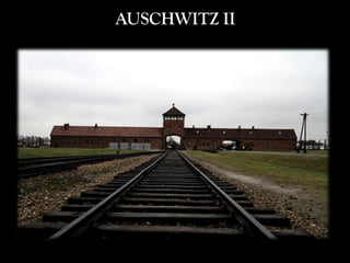 AUSCHWITZ II
 