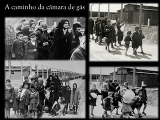A caminho da câmara de gás
 