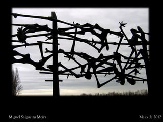 Miguel Salgueiro Meira Maio de 2012
 