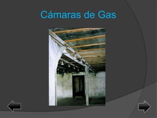 Cámaras de Gas
 