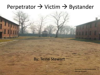 Perpetrator  Victim  Bystander By: Tessa Stewart Auschwitz Concentration Camp (Hannah Stewart) 