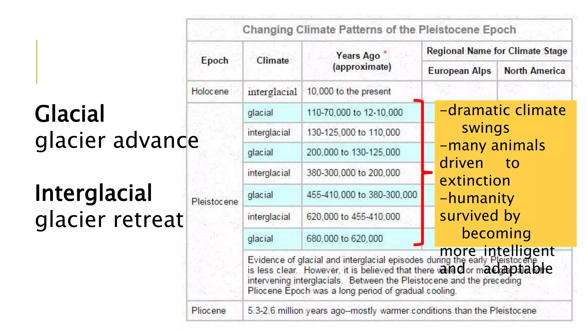 Glacial
glacier advance
Interglacial
glacier retreat
-dramatic climate
swings
-many animals
driven to
extinction
-humanity
survived by
becoming
more intelligent
and adaptable
 