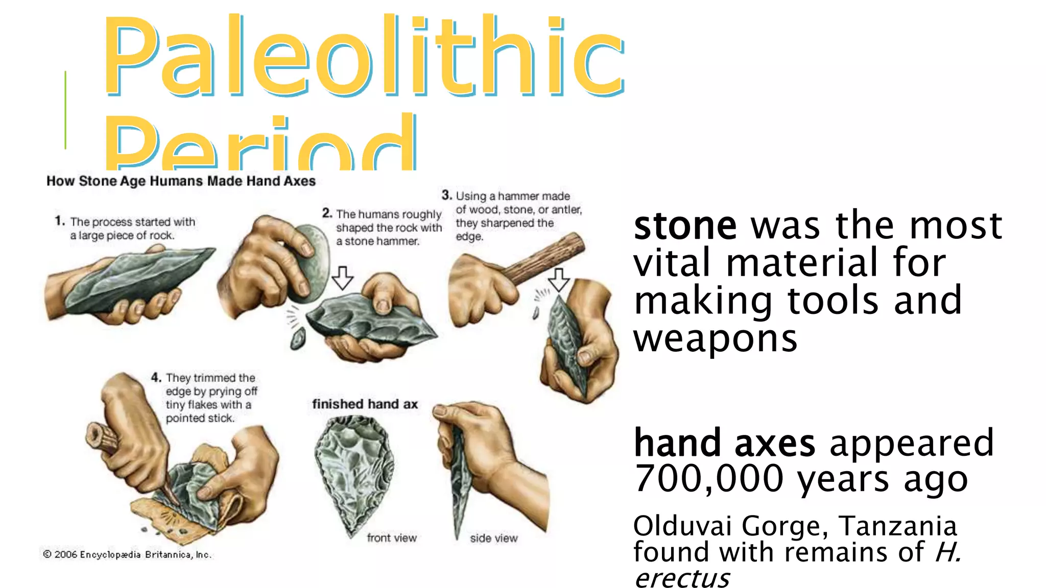 stone was the most
vital material for
making tools and
weapons
hand axes appeared
700,000 years ago
Olduvai Gorge, Tanzania
found with remains of H.
erectus
 