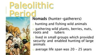 Nomads (hunter-gatherers)
o hunting and fishing wild animals
o gathering wild plants, berries, nuts,
roots and tubers
o lived in small groups which provided
security and enabled hunting of large
animals
o average life span was 20 – 25 years
 
