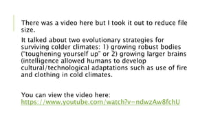 There was a video here but I took it out to reduce file
size.
It talked about two evolutionary strategies for
surviving colder climates: 1) growing robust bodies
(“toughening yourself up” or 2) growing larger brains
(intelligence allowed humans to develop
cultural/technological adaptations such as use of fire
and clothing in cold climates.
You can view the video here:
https://www.youtube.com/watch?v=ndwzAw8fchU
 