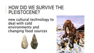 HOW DID WE SURVIVE THE
PLEISTOCENE?
new cultural technology to
deal with cold
environments and
changing food sources
 