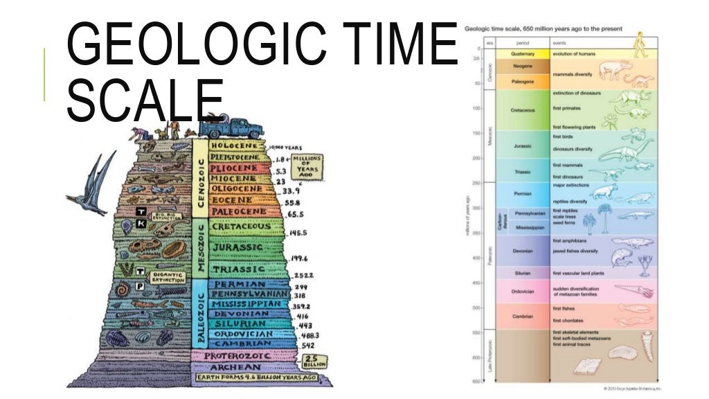 Holocene Period