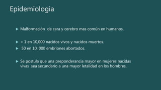 Epidemiologia
 Malformación de cara y cerebro mas común en humanos.
 < 1 en 10,000 nacidos vivos y nacidos muertos.
 50 en 10, 000 embriones abortados.
 Se postula que una preponderancia mayor en mujeres nacidas
vivas sea secundario a una mayor letalidad en los hombres.
 
