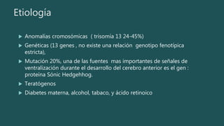 Etiología
 Anomalías cromosómicas ( trisomía 13 24-45%)
 Genéticas (13 genes , no existe una relación genotipo fenotípica
estricta),
 Mutación 20%, una de las fuentes mas importantes de señales de
ventralización durante el desarrollo del cerebro anterior es el gen :
proteína Sónic Hedgehhog.
 Teratógenos
 Diabetes materna, alcohol, tabaco, y ácido retinoico
 