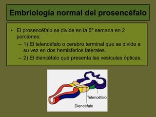 Embriología normal del prosencéfalo
Telencéfalo
Diencéfalo
• El prosencéfalo se divide en la 5ª semana en 2
porciones:
– 1...