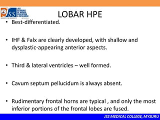 LOBAR HPE
• Best-differentiated.
• IHF & Falx are clearly developed, with shallow and
dysplastic-appearing anterior aspects.
• Third & lateral ventricles – well formed.
• Cavum septum pellucidum is always absent.
• Rudimentary frontal horns are typical , and only the most
inferior portions of the frontal lobes are fused.
 