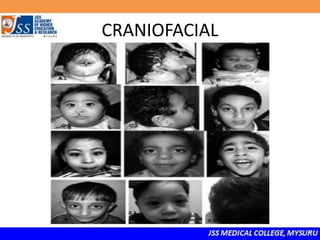 CRANIOFACIAL
 