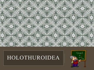 HOLOTHUROIDEA
 