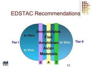 EDSTAC Recommendations

In Vitro
Tier I
In Vivo

Invertebrates
Fish
Amphibian In Vivo
Avian
Mammals
E

A

T

13

Tier II

 