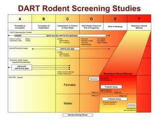 DART Rodent Screening Studies
A

B

C

D

E

F

Premating to
Conception

Conception to
Implantation

Implantation to Closure
of Hard Palate

Hard-Palate Closure to
End of Pregnancy

Birth to Weaning

Weaning to Sexual
Maturity

OECD Reproduction Screen
4W 2W
Estrous Cyclicity
Implantation Sites

OECD 421/422, OPPTS 870.3550/3650
Mating
Fertility

Chernoff-Kavlock Assay

Limited:
Malformations
Dev. Variations

Parturition
Gestation Length
Litter Size
Histopathology

Pup Viability
Pup Weight
Organ Weights

OPPTS 870.3500
Limited:
Malformations
Dev. Variations

Dominant Lethal Assay
Zygote/Embryolethality
OECD 478
OPPTS 870.5450
Assess recovery through
multiple mating trials

EDSTAC Assays

Weaning to Sexual Maturity
Uterotrophic

Females

Estrogenicity
Anti-Estrogenicity

Pubertal Assay

PND 21

Vaginal Opening
Thyroid Endpoints

PND 42

PND 21

PND 53
Pubertal Assay

Males

Preputial Separation
Thyroid Endpoints

Hershberger

Androgenicity
Anti-Androgenicity

Denotes Dosing Period

 